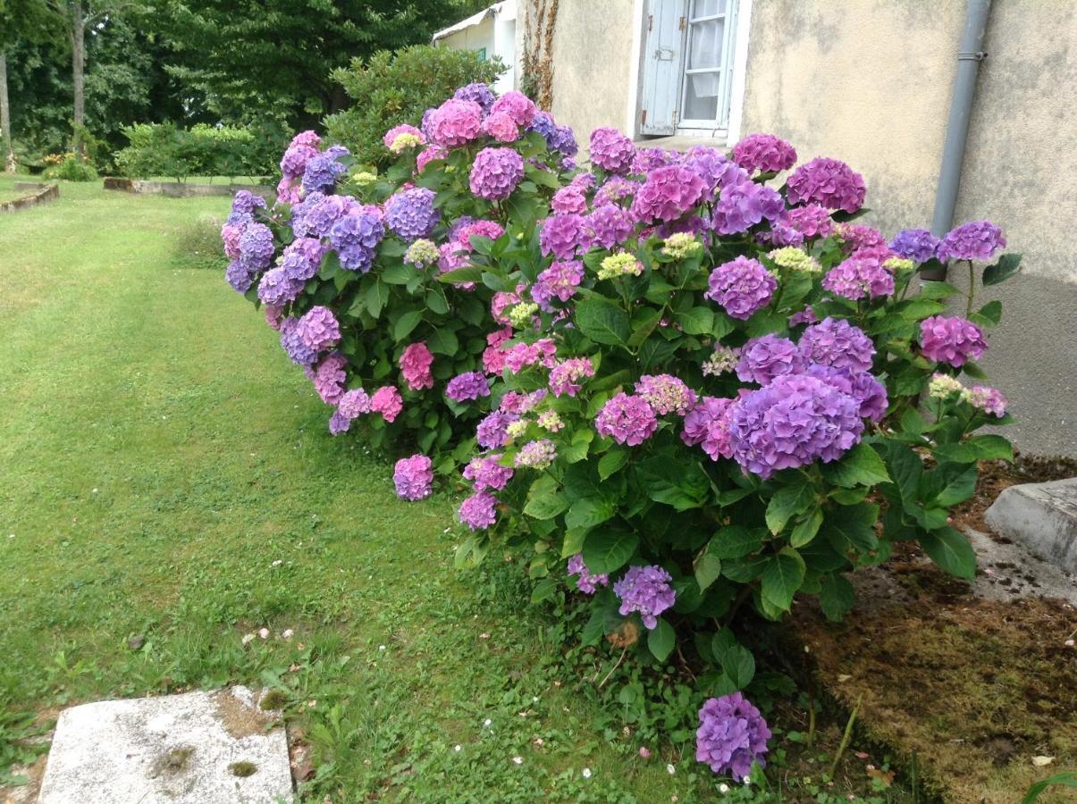 Chateau De Benac ภายนอก รูปภาพ